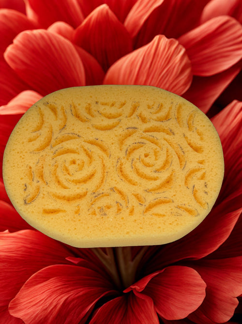 Armaly Proplus Oval Sponge