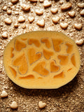 Armaly Proplus Oval Sponge