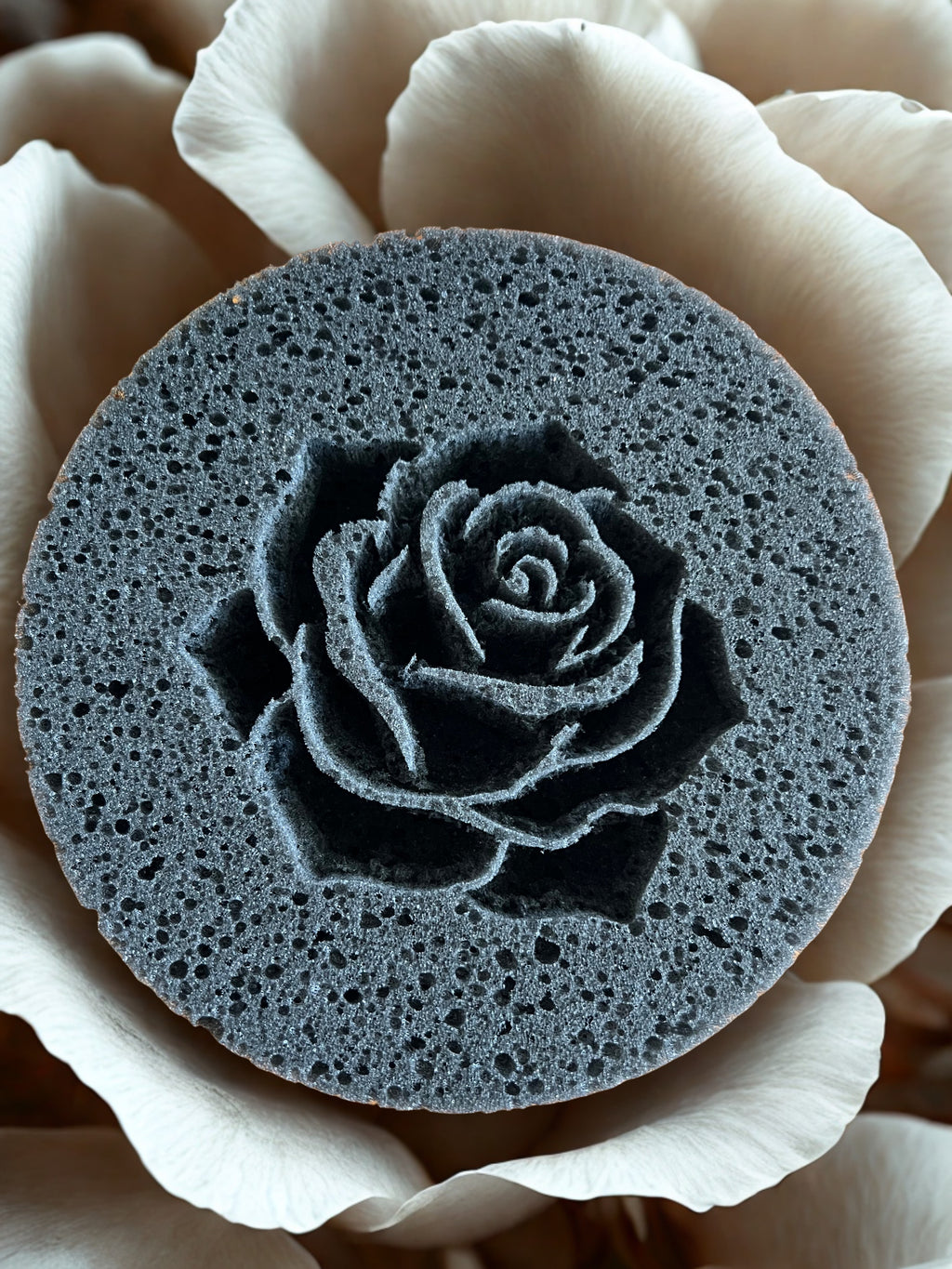 Midnight Circle Custom Sponge