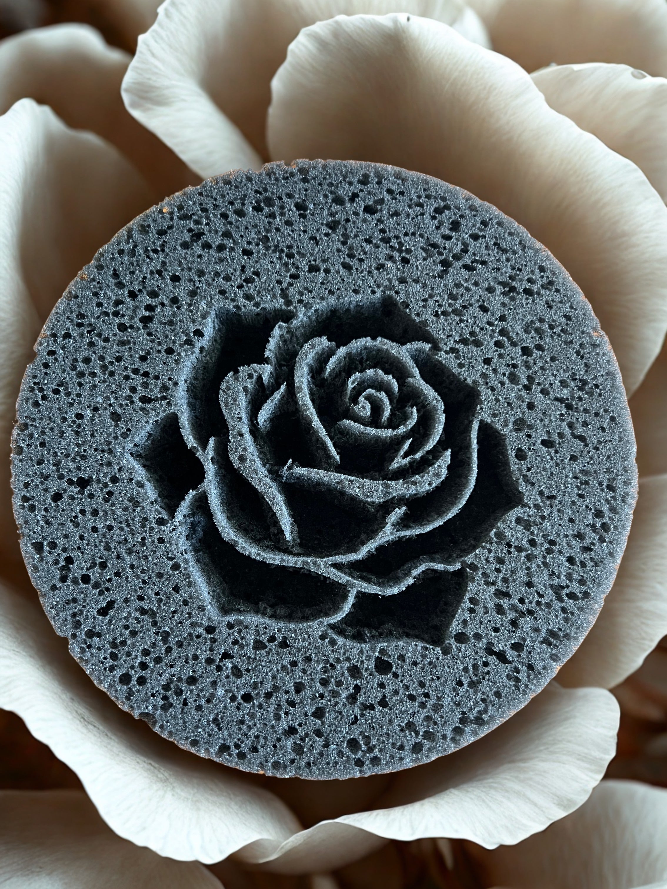 Midnight Circle Custom Sponge