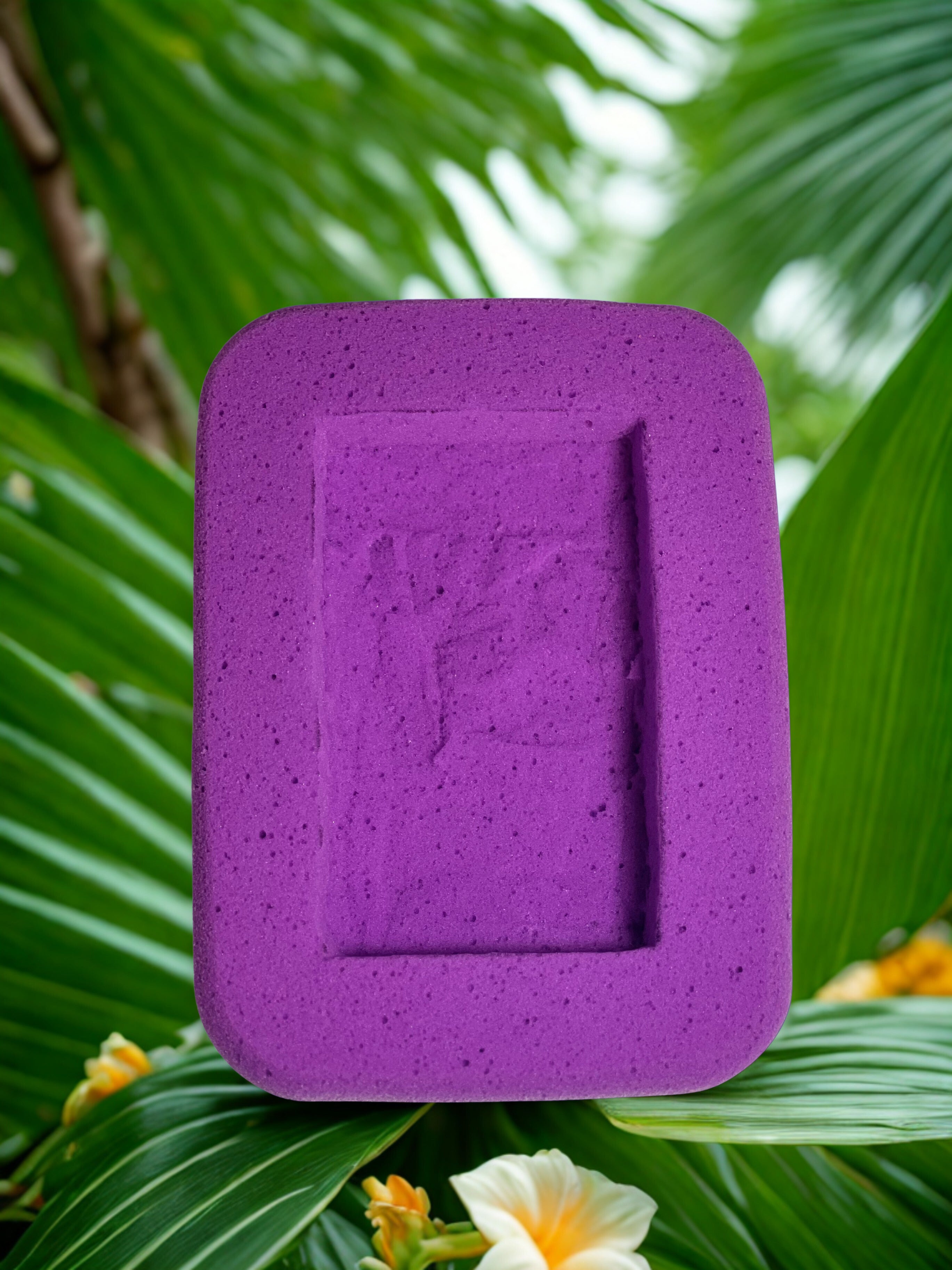Pasión Boat Sponges