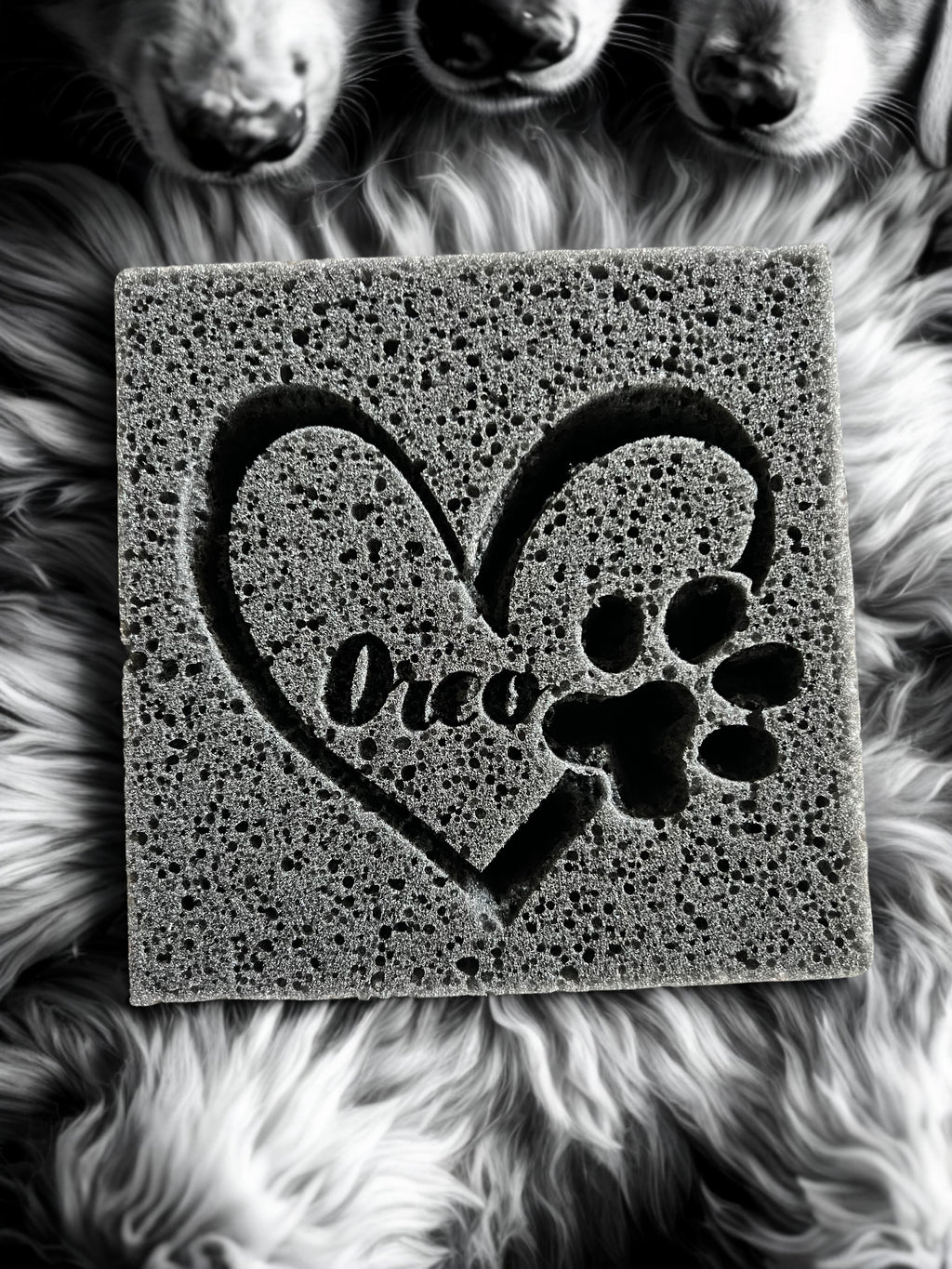 Midnight Square Custom Sponge