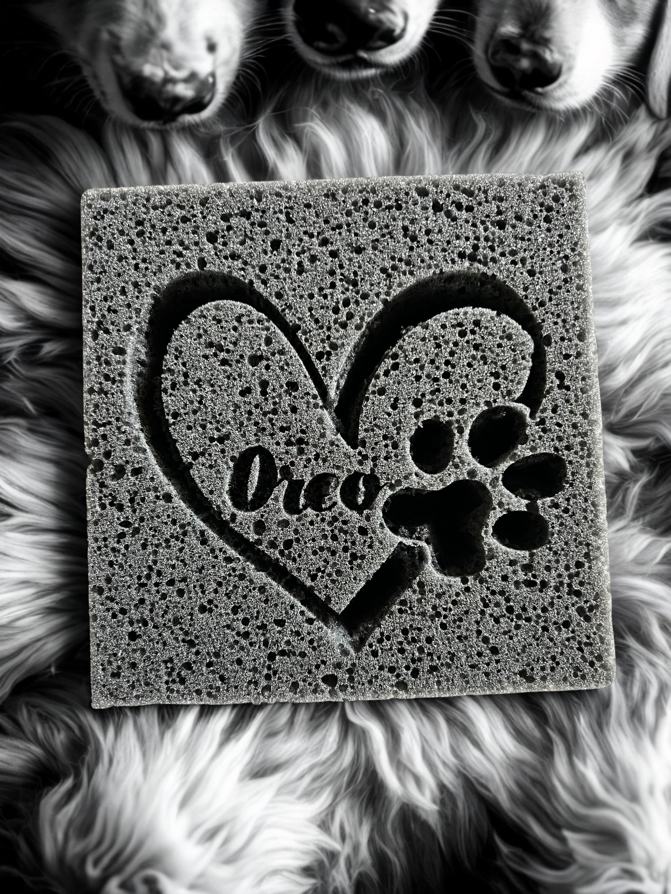 Midnight Square Custom Sponge