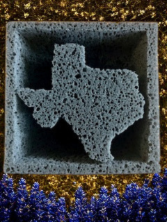 Midnight Square Custom Sponge